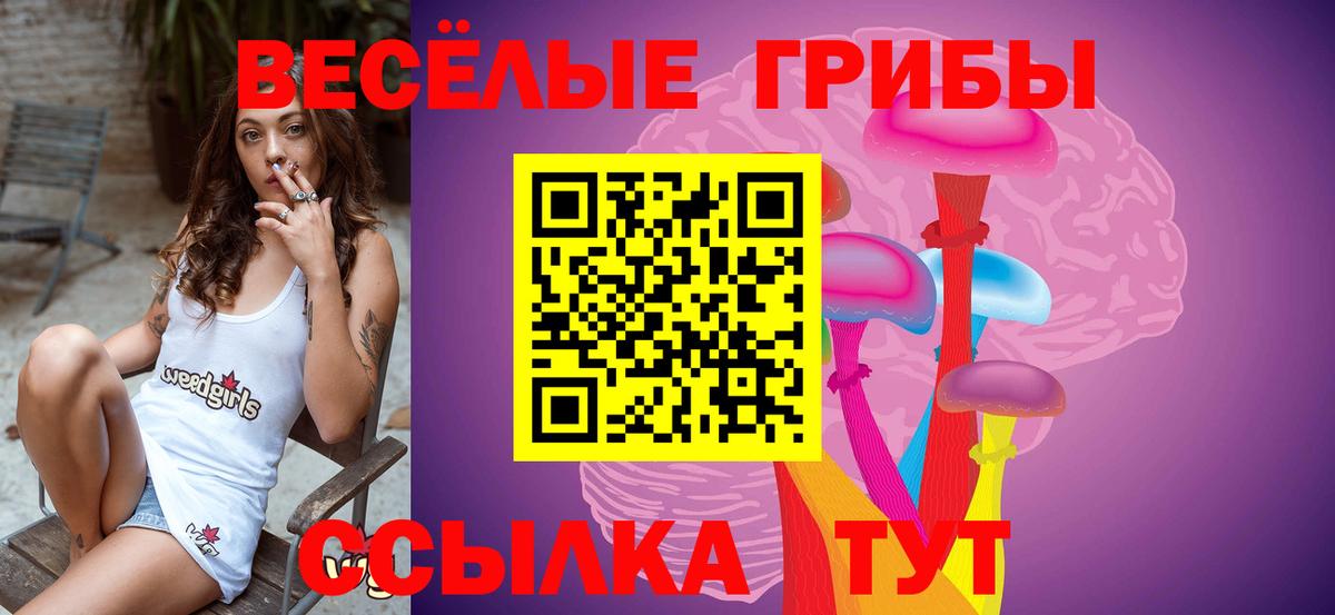 Псилоцибиновые грибы Psilocybe  Галлюциногенные грибы Psilocybe  Набережные Челны  Вход с VPN 